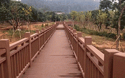 防腐木景观木桥